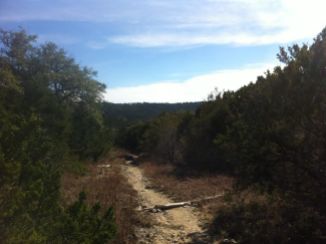 Forest-Ridge